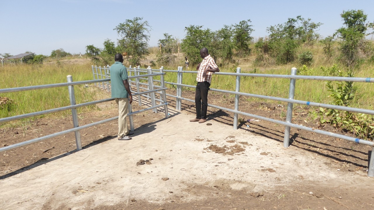 The district leaders inspecting the cattle crush last week. Photo by Emmanuel Opio